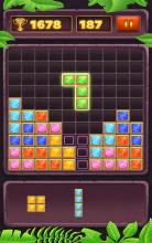 Blck Puzzl  Classc Puzzl Gam截图4