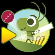 Cricket Champ截图2