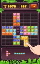 Blck Puzzl  Classc Puzzl Gam截图3