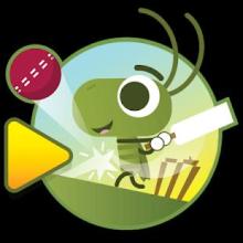 Cricket Champ截图1