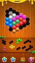 Block Hexa! Hexagon Puzzle截图5