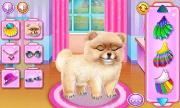 beautiful caring dog game截图1