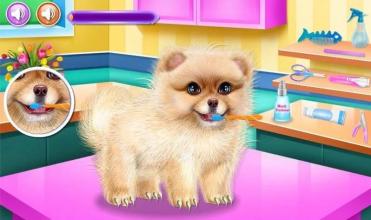 beautiful caring dog game截图3