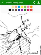 Animal Coloring Pages截图4