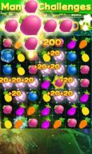 Fruit Splash Mania :D截图4