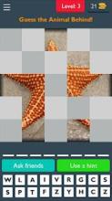 Tiles - Animals Image Quiz截图2