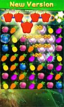 Fruit Splash Mania :D截图3