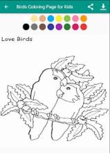 Birds Coloring Page for Kids截图1