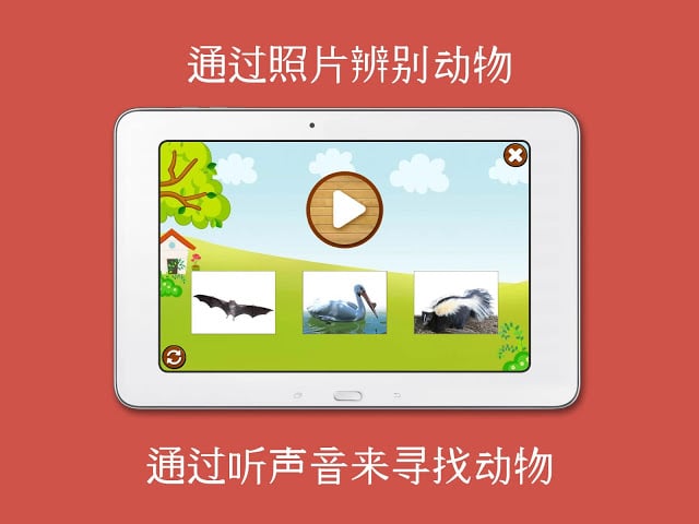 儿童动物园动物的叫声及照片截图11