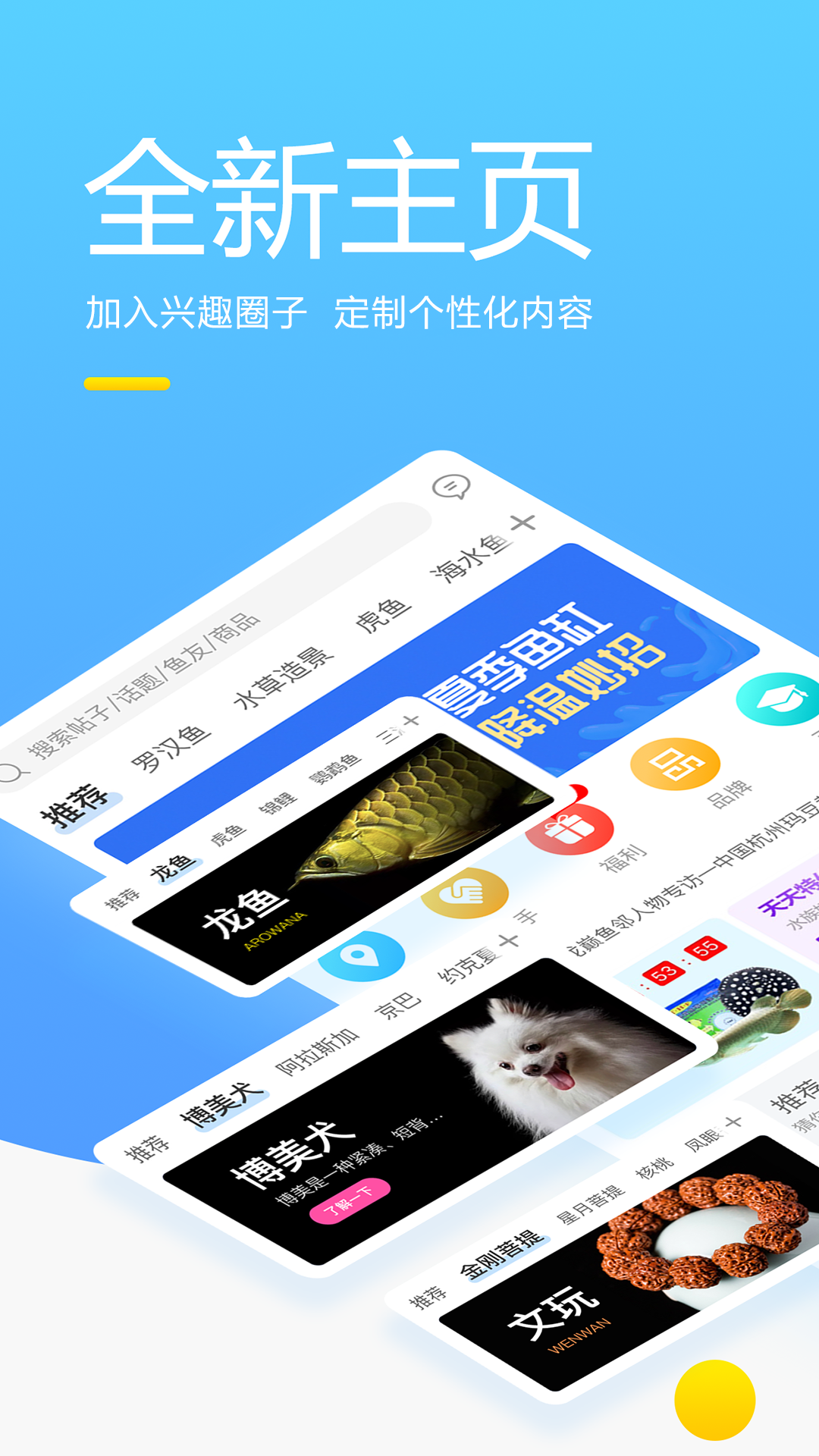 龙巅鱼邻v4.0.0截图1