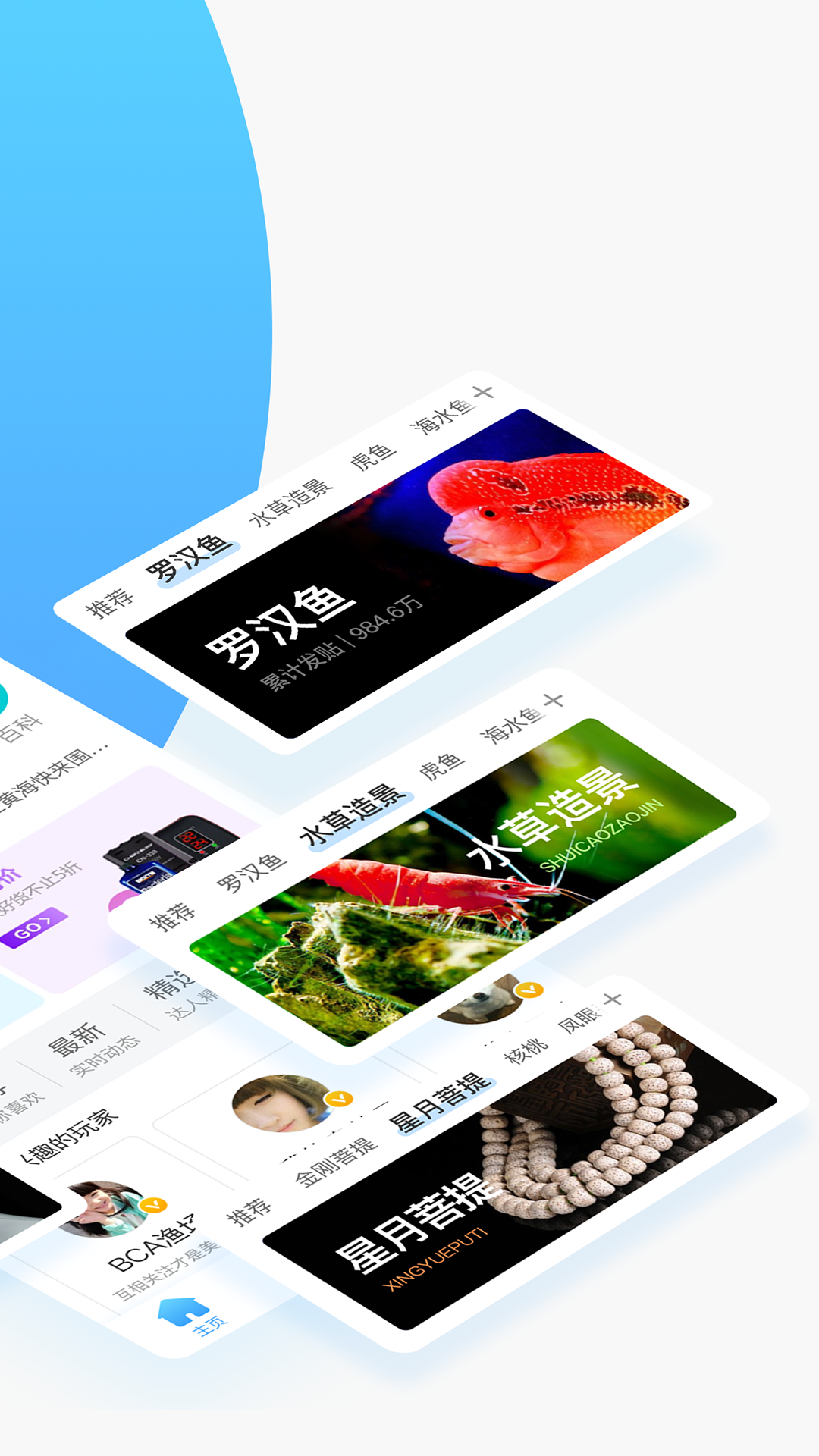 龙巅鱼邻v4.0.0截图2