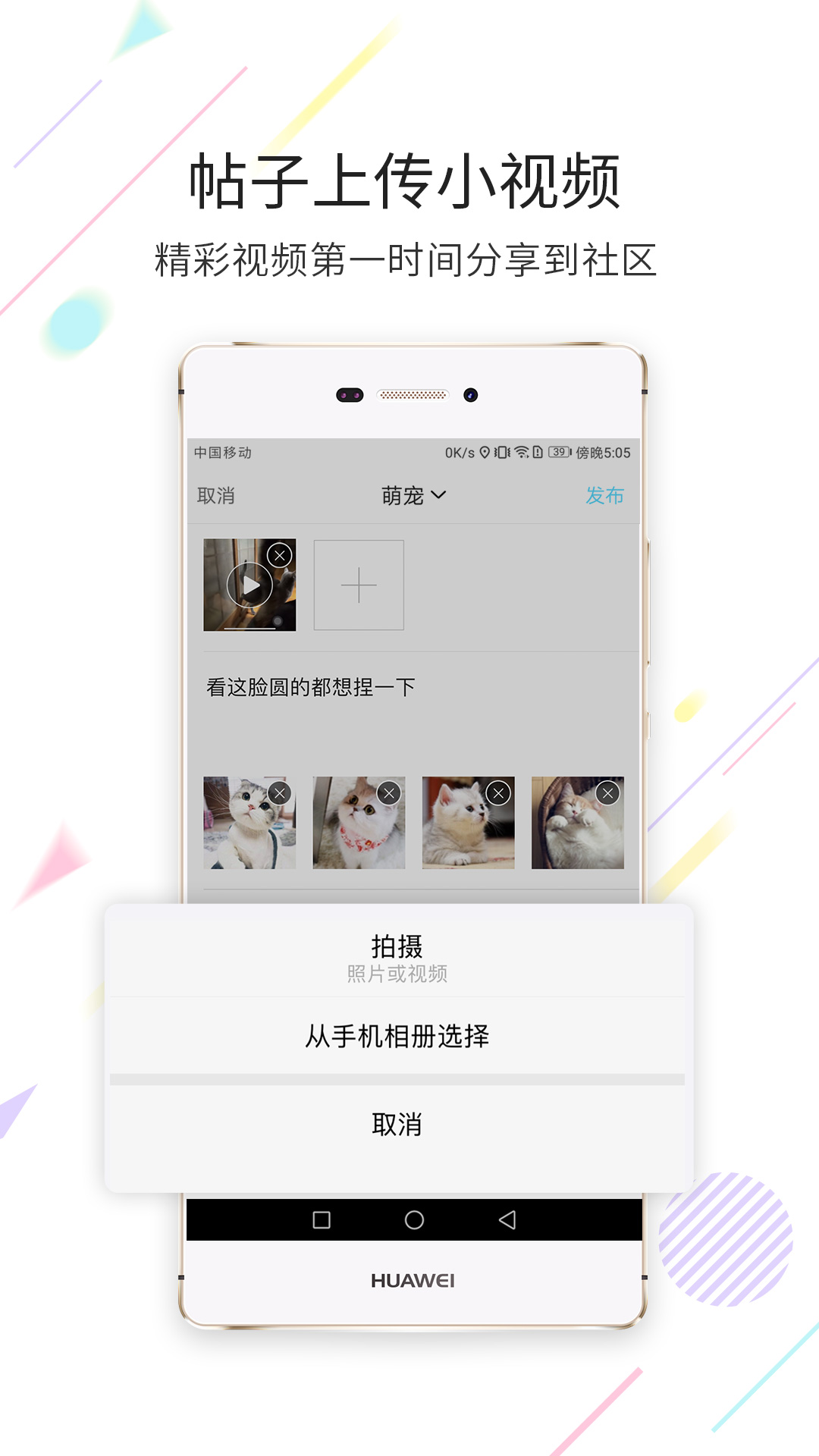 西蜀网v2.2.1截图2