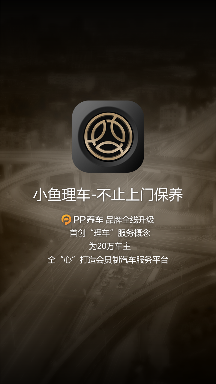 PP车截图1