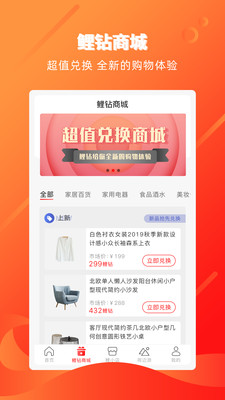 锦小鲤截图2