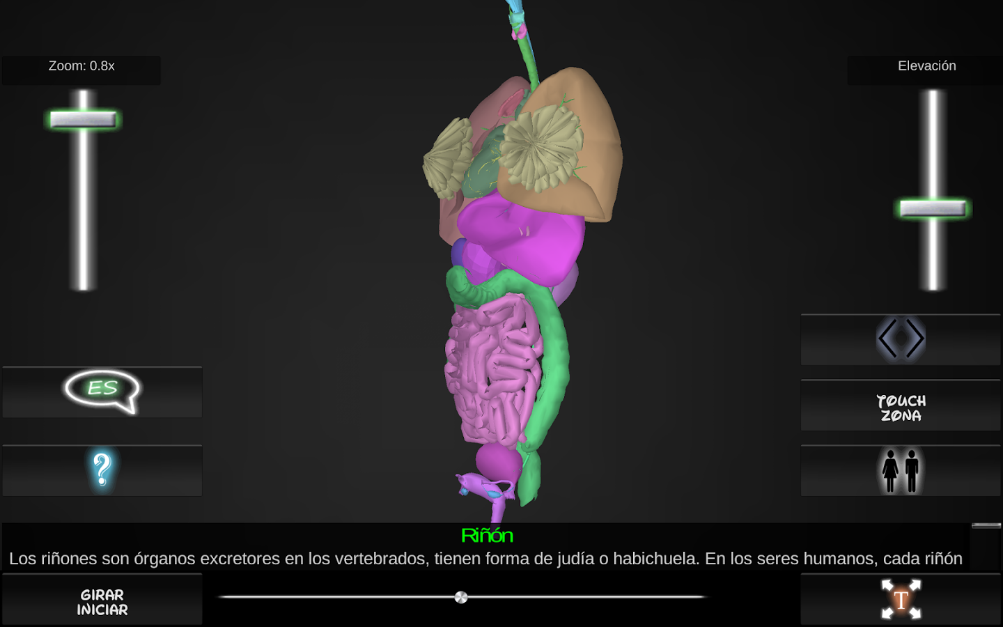 Organs 3D (Anatomy)截图4