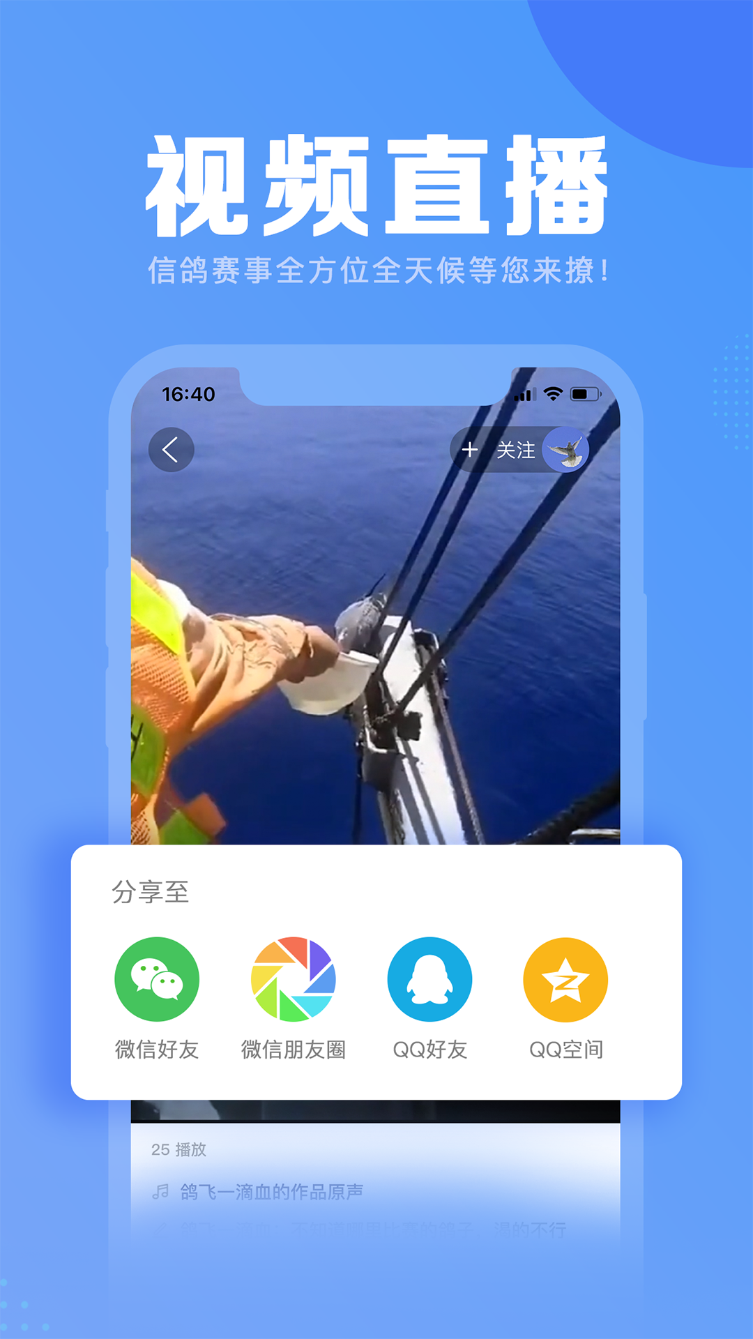 信鸽纵横v2.0.2截图2