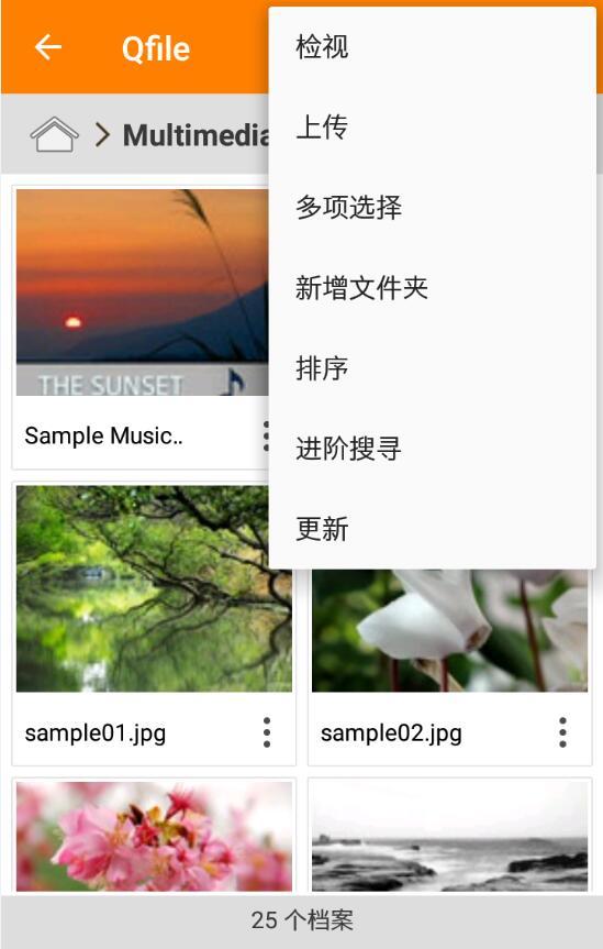 Qfilev2.9.11.1023截图3