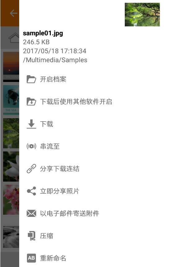 Qfilev2.9.11.1023截图4