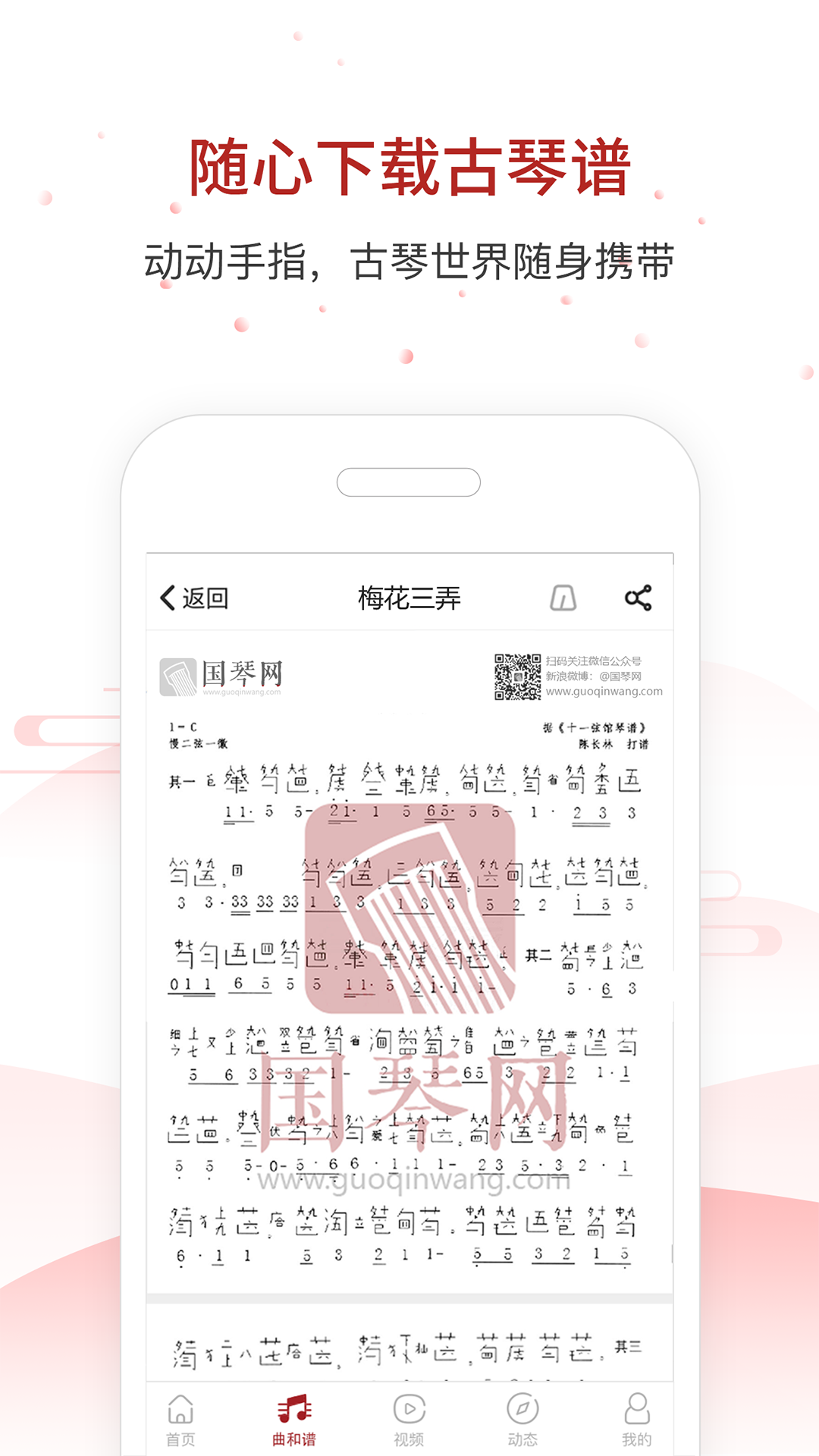 国琴网v2.4.00截图3