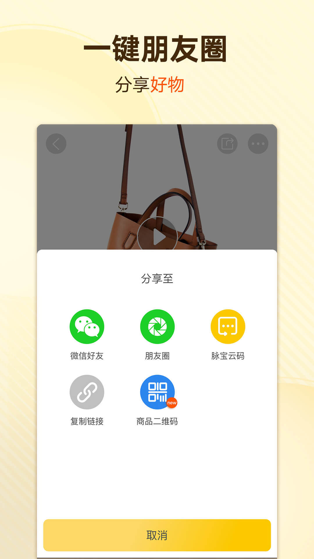 脉宝云店截图2