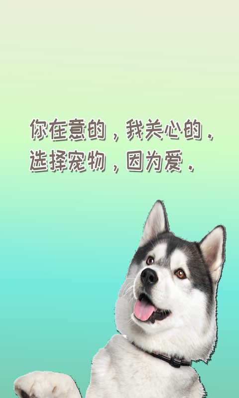 米族人狗交流器截图1