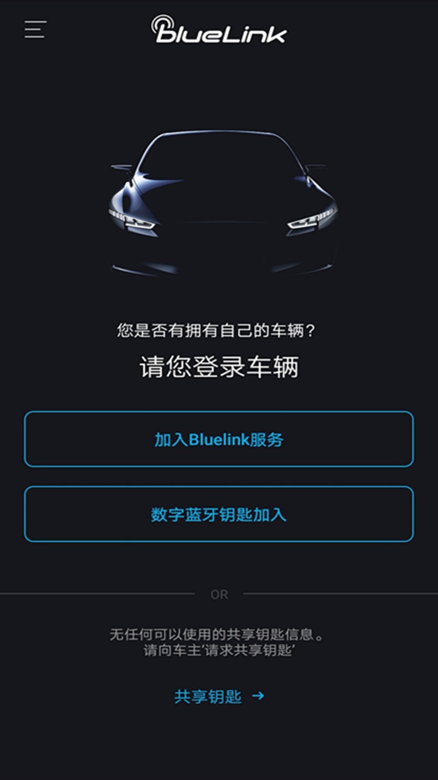 blueLinkv2.44截图3