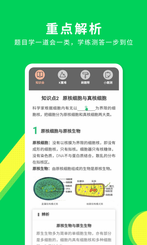 包学习v3.8.2截图3