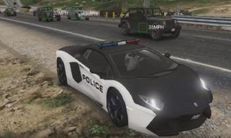 Real Sunny Police Car Simulator 2019 3D截图2