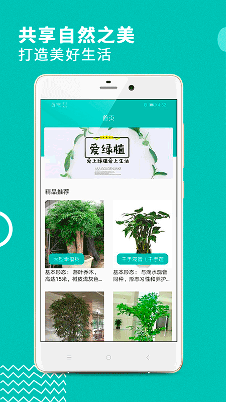 新意花截图3