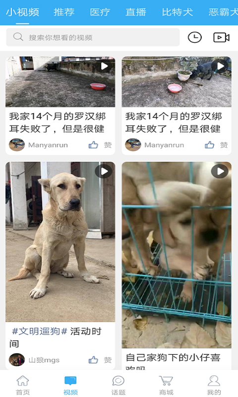 猛犬俱乐部v20245截图4