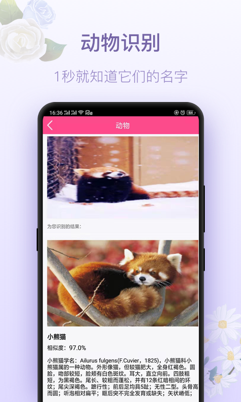 拍照识花神器v3.1.0截图2
