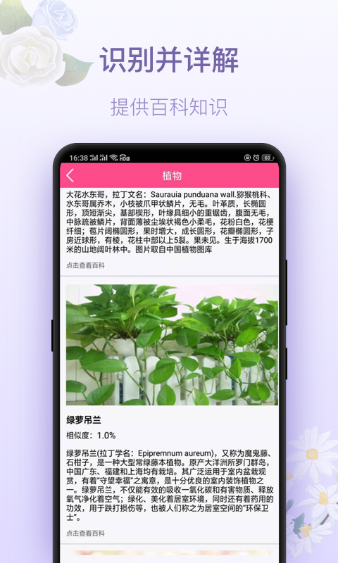 拍照识花神器v3.1.0截图4