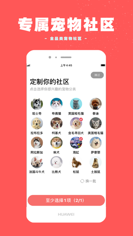 宠物王国v1.0.8截图1