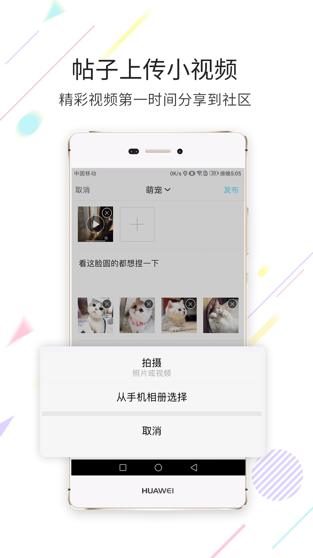 西蜀网v2.3.1截图2