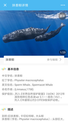 海洋奇迹截图2