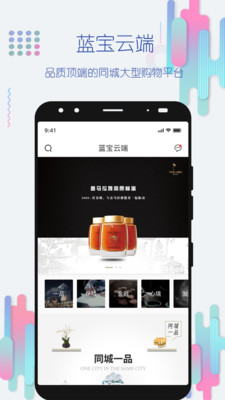 蓝宝云端截图2