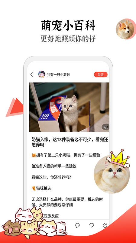 猫猫社截图4