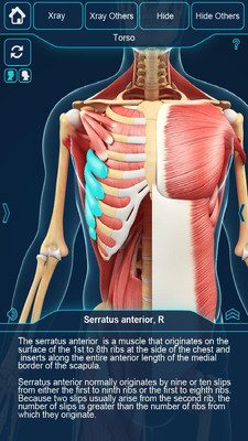 我的肌肉解剖截图5