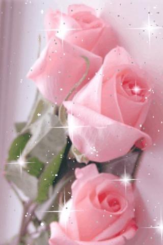 Pretty Pink Roses Live Wallpap截图2