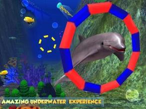 Dolphin Aquarium: Fun Sports 3D Challenge截图3