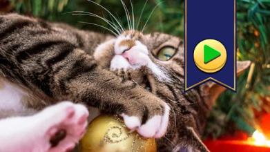 Christmas Jigsaw Puzzles Games截图2