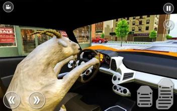 Crazy Goat Car Driving simulator截图5