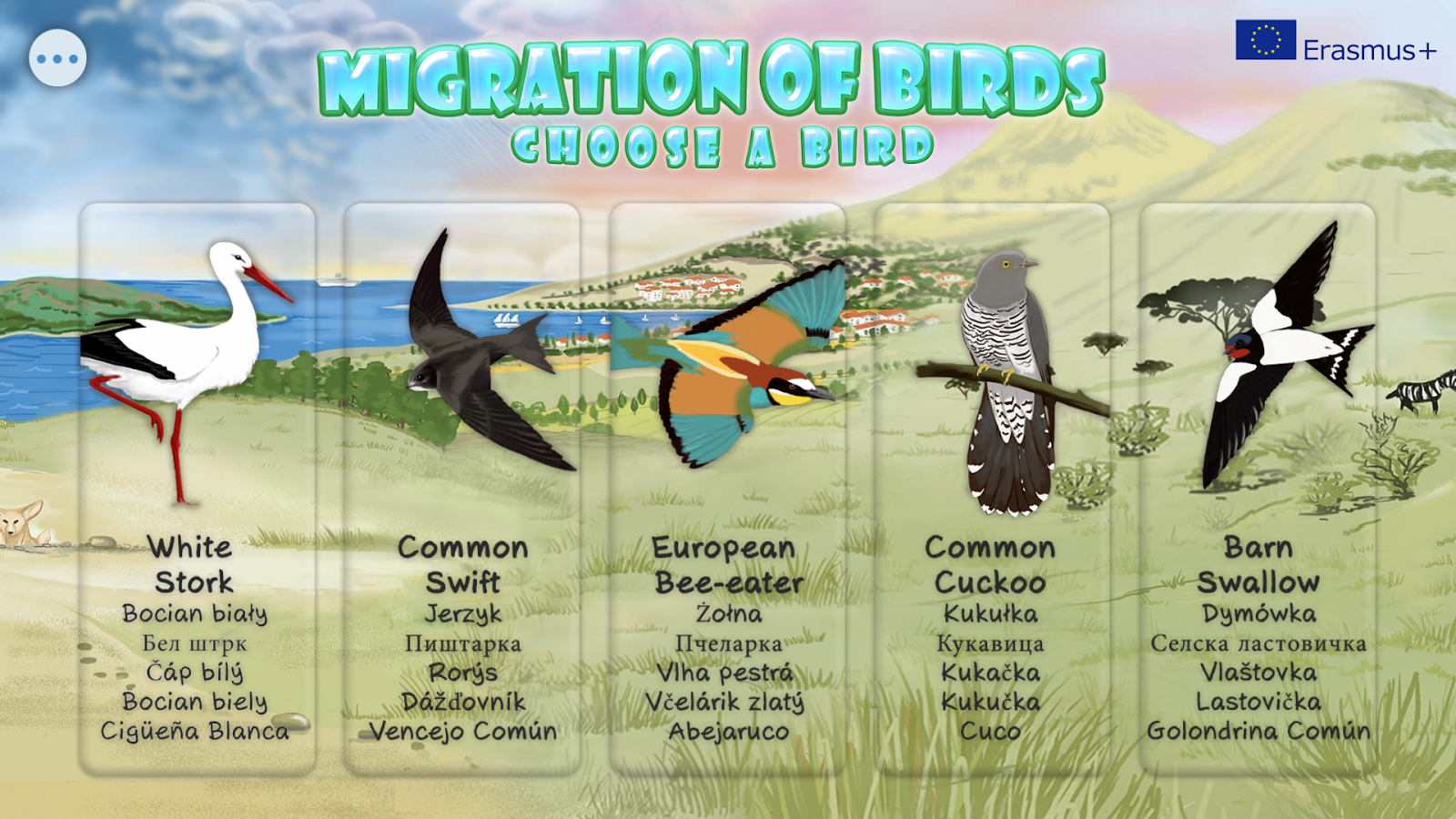 Migration of birds​截图5