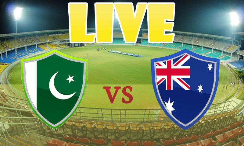 Pak vs Aus Cricket Game Live截图4