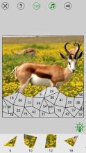 Animal Jigsaw Puzzle: Solve By Numbers截图2