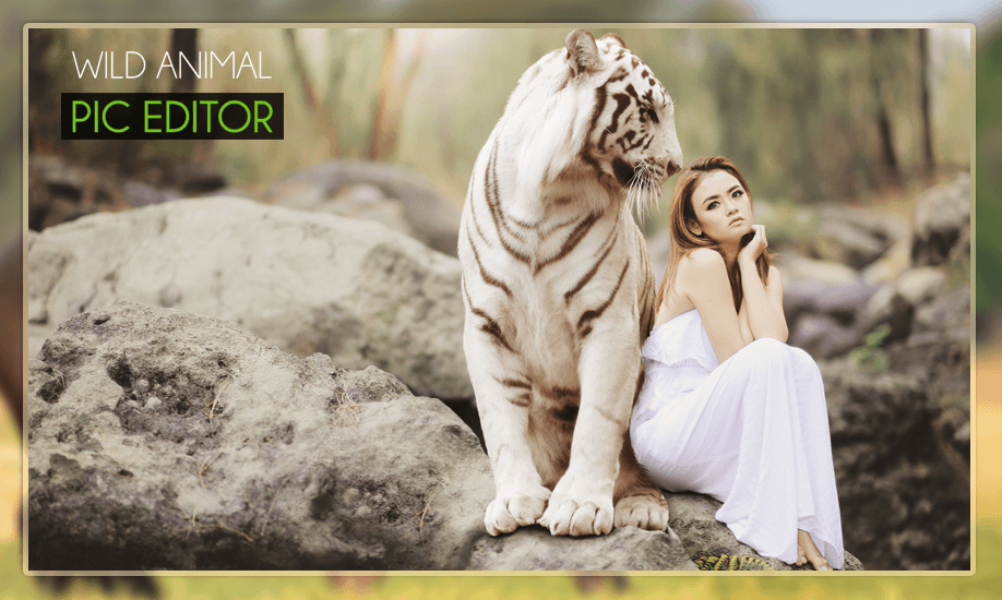 Wild Animal Photo Editor - Animal Photo Frames截图3