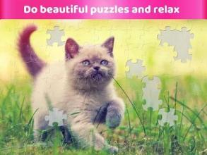 Kittens Jigsaw Puzzles - Free Puzzle Games截图3