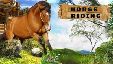 Horse Riding Game 2018截图5