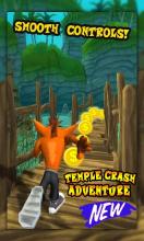 Temple Crash Jungle 3D截图2