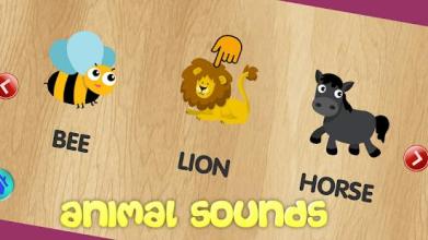 Animal Games For Kids截图2